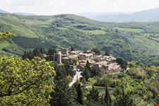 Collepino