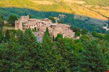 Collepino