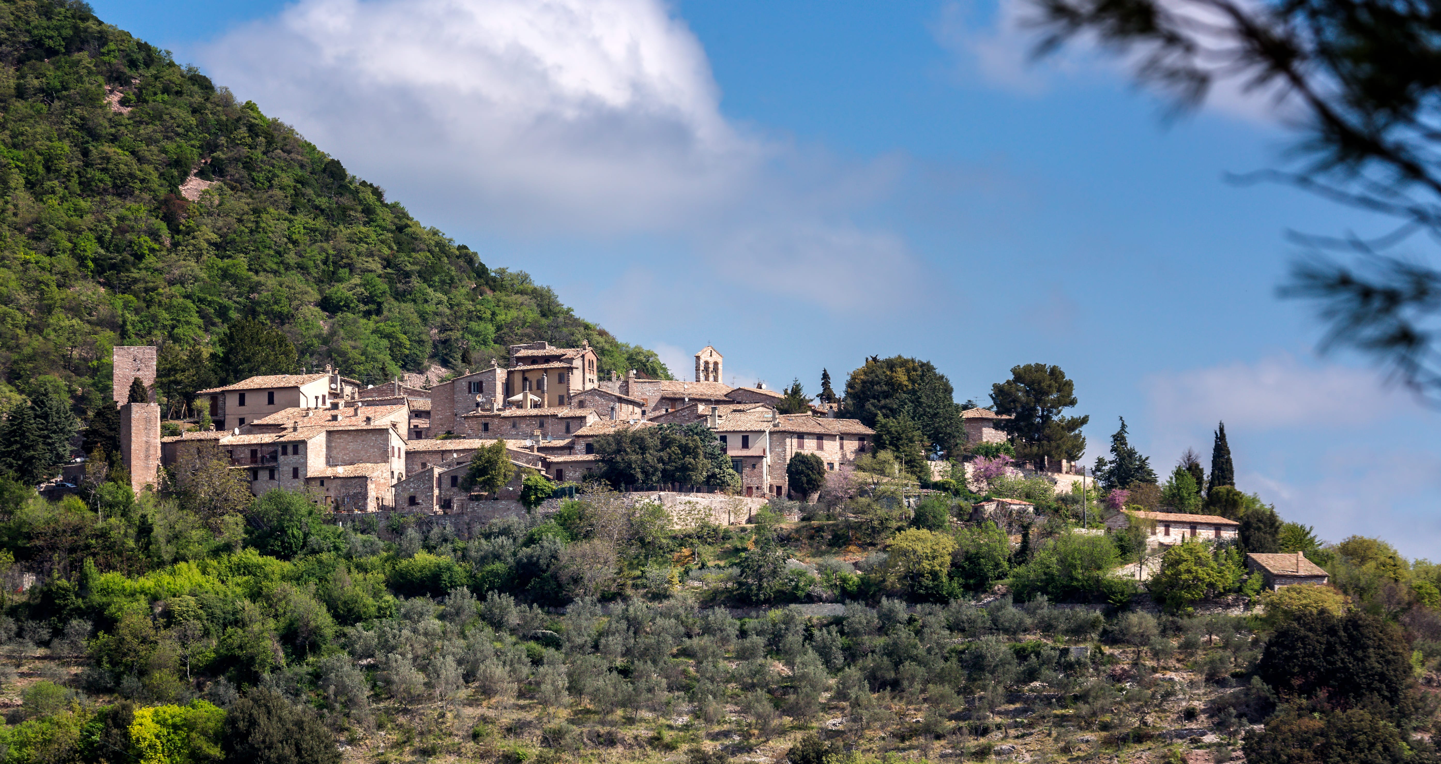 Collepino