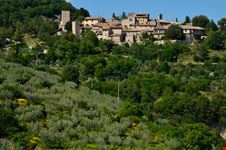 Collepino