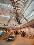 MUSE - Museo delle Scienze di Trento