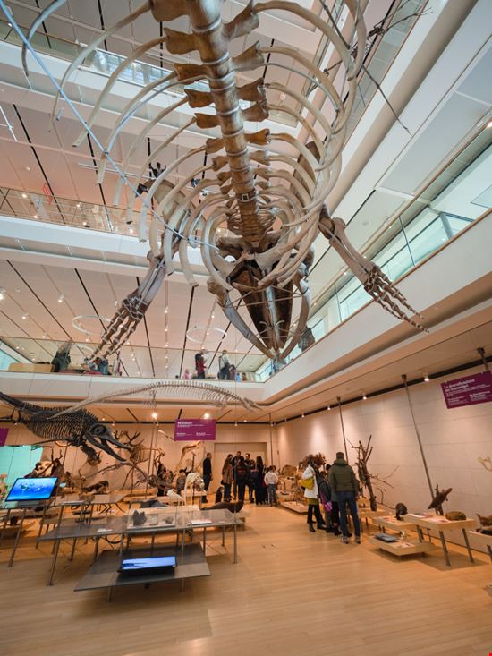 MUSE - Museo delle Scienze di Trento MUSE - Museo delle Scienze di Trento pointbreak / Shutterstock.com 