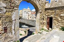 Isola di Pianosa