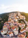 Cervo