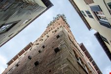 Lucca