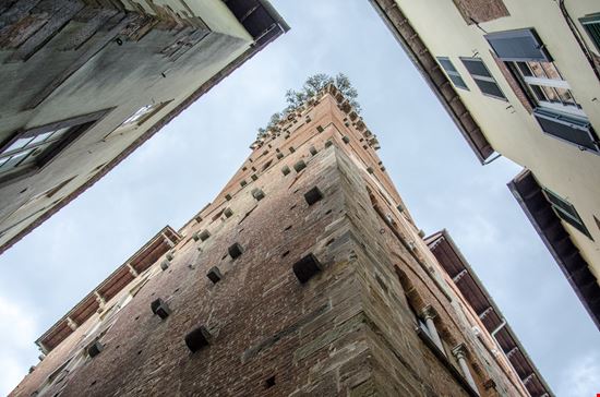 Guinigi Tower Lucca stock.adobe.com 