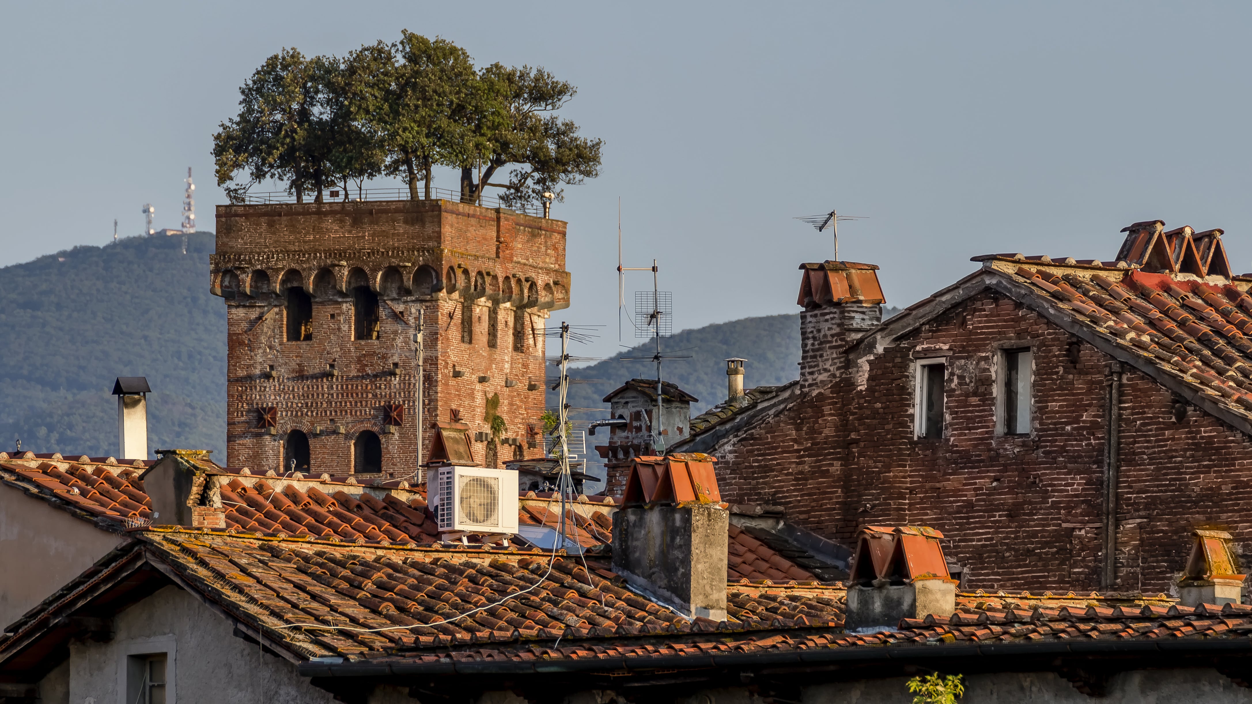 Lucca_Guinigi