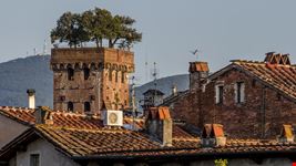 Lucca