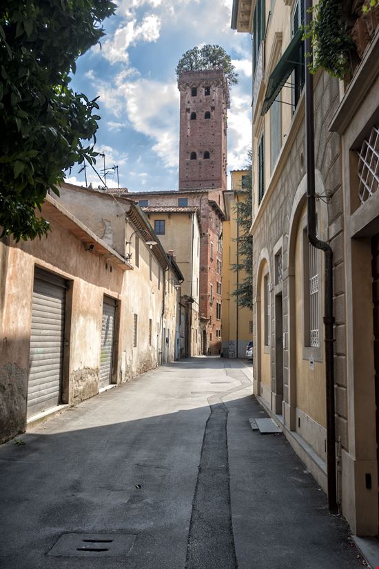 Guinigi Tower Lucca stock.adobe.com 
