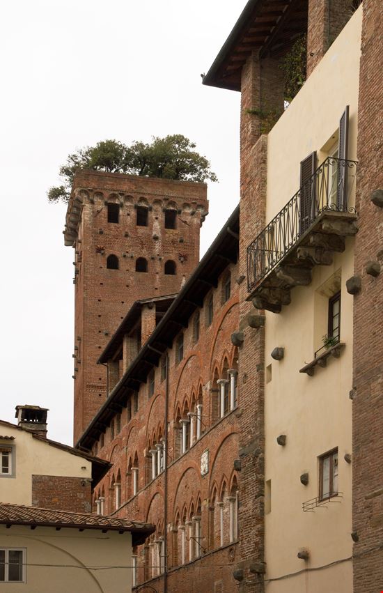 Guinigi Tower Lucca stock.adobe.com 