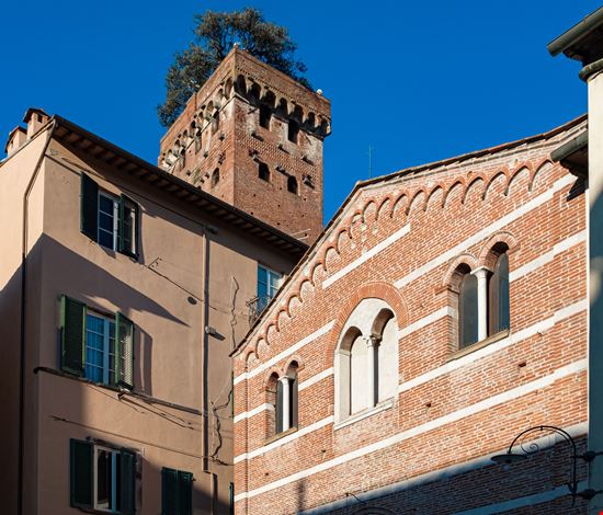 Guinigi Tower Lucca stock.adobe.com 