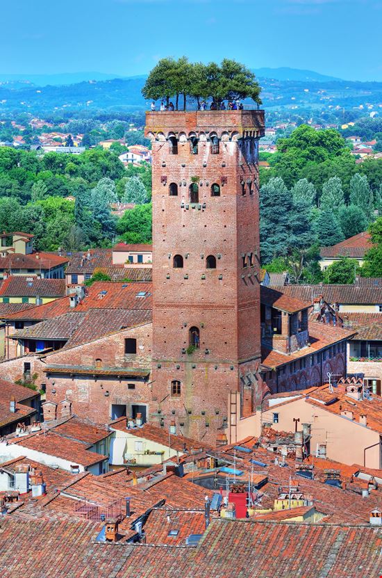 Guinigi Tower Lucca stock.adobe.com 