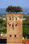 Lucca