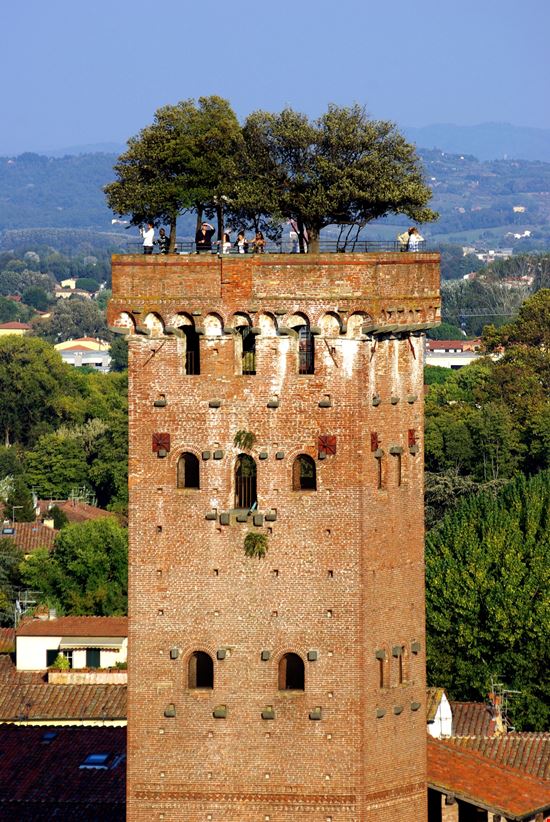 Guinigi Tower Lucca stock.adobe.com 