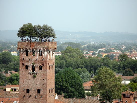 Guinigi Tower Lucca La Torre Guinigi 