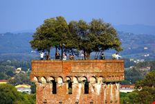 Lucca