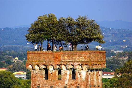 Guinigi Tower Lucca La Torre Guinigi 