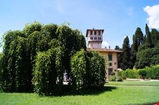 Villa della Petraia
