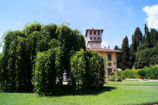 Villa della Petraia Villa della Petraia sansa55 - Shutterstock.com 