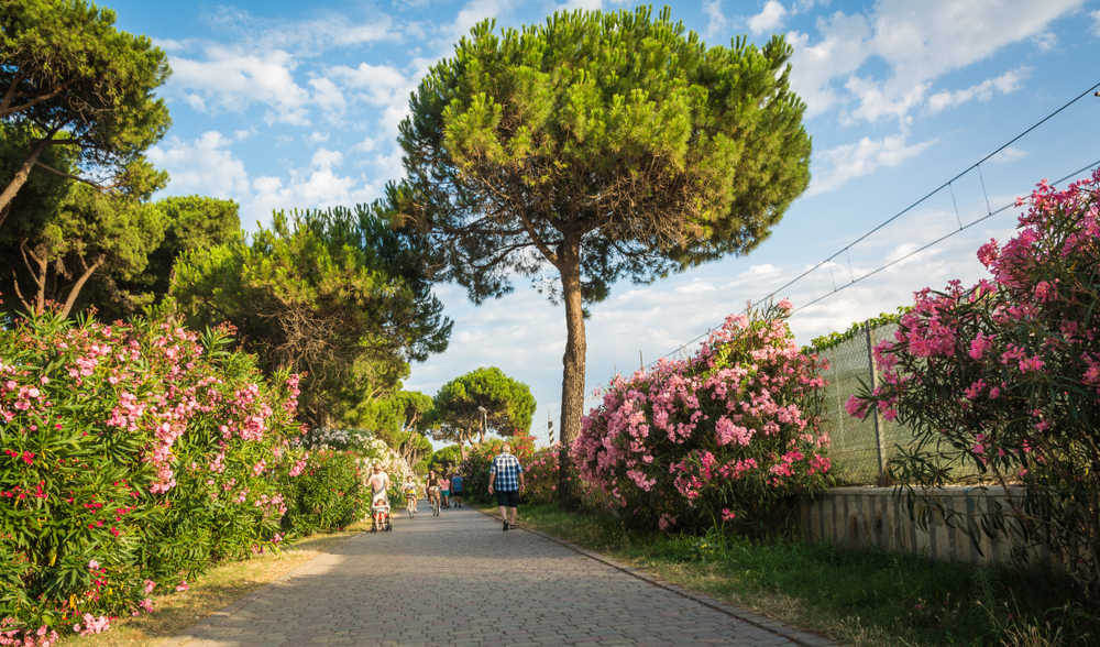 Roseto degli Abruzzi