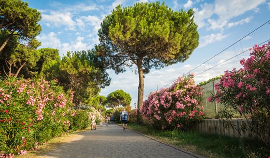 Roseto degli Abruzzi Roseto degli Abruzzi lorenza62 / Shutterstock.com 