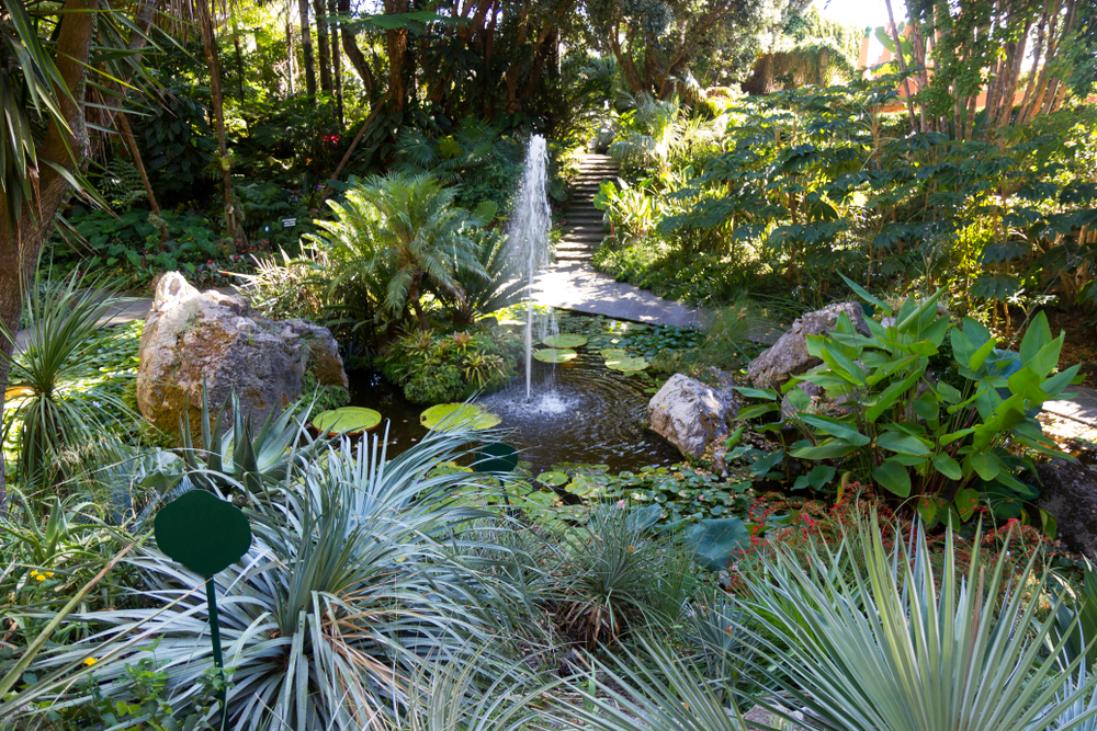 Questa isola italiana custodisce uno dei giardini più belli d'Europa: il giardino di Susana, capolavoro verde vista mare