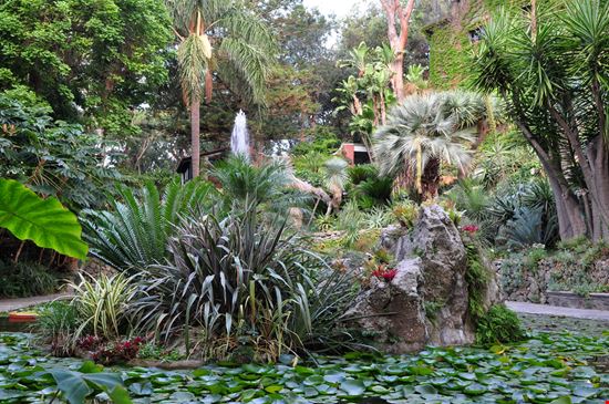 Giardini La Mortella Giardini La Mortella Karel Gallas - Shutterstock.com 