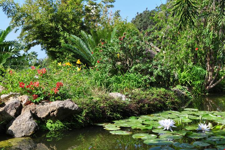 Questa isola italiana custodisce uno dei giardini più belli d'Europa: il giardino di Susana, capolavoro verde vista mare