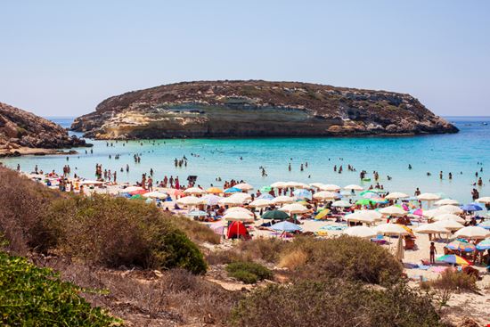 Lampedusa Spiaggia dei Conigli bepsy / Shutterstock.com 