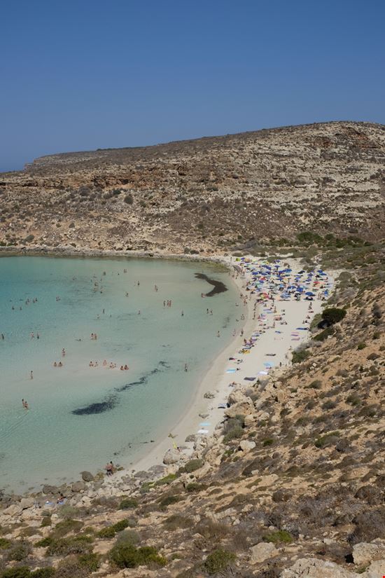 Lampedusa Spiaggia dei Conigli Matteo Fes / Shutterstock.com 