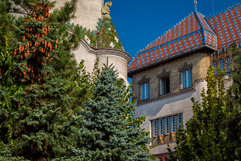 Târgu Mures