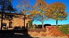 Montalcino