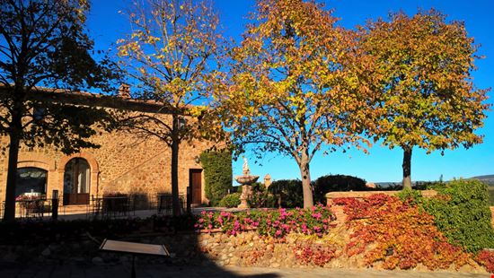 Montalcino Castello Banfi BalazsSebok / Shutterstock.com 