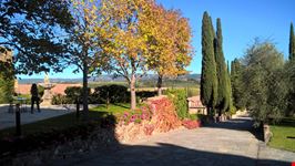 Montalcino