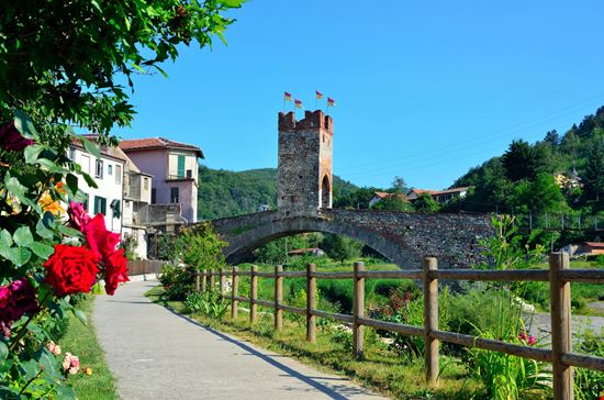 Millesimo Millesimo maudanros - Shutterstock.com 