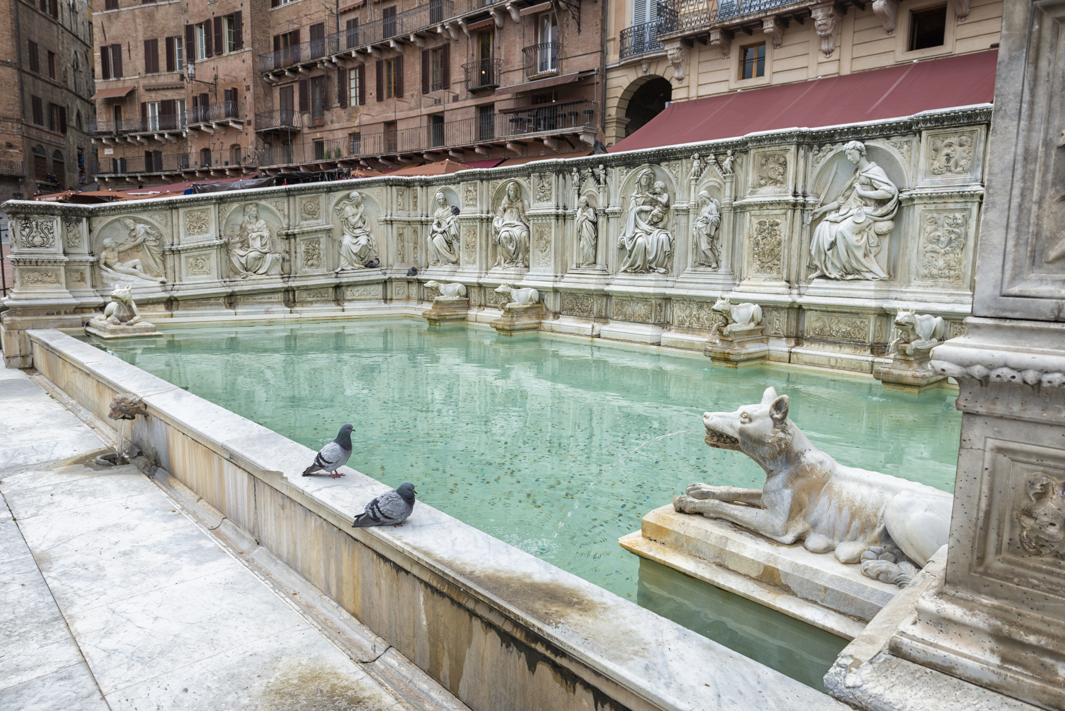 Fonte_Gaia_Siena