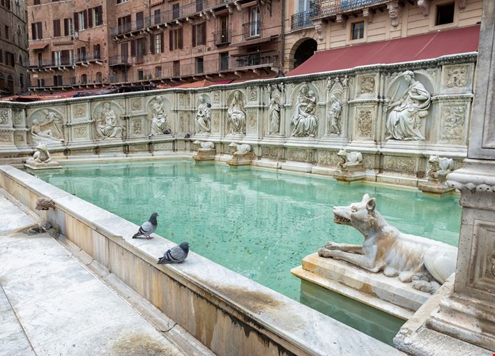 Fonte_Gaia_Siena