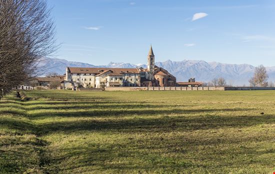 Revello Abbazia di Staffarda stock.adobe.com 
