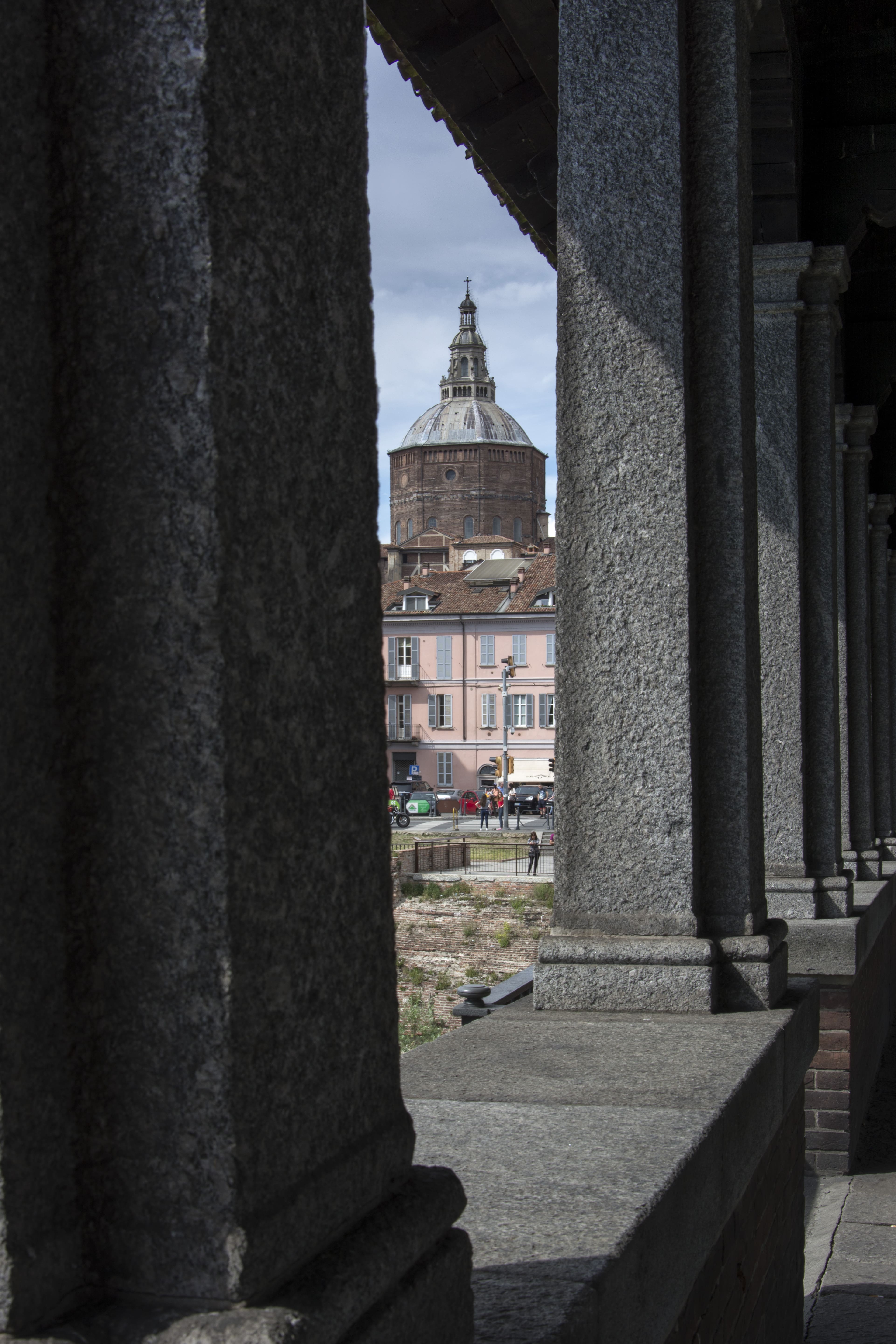 Pavia