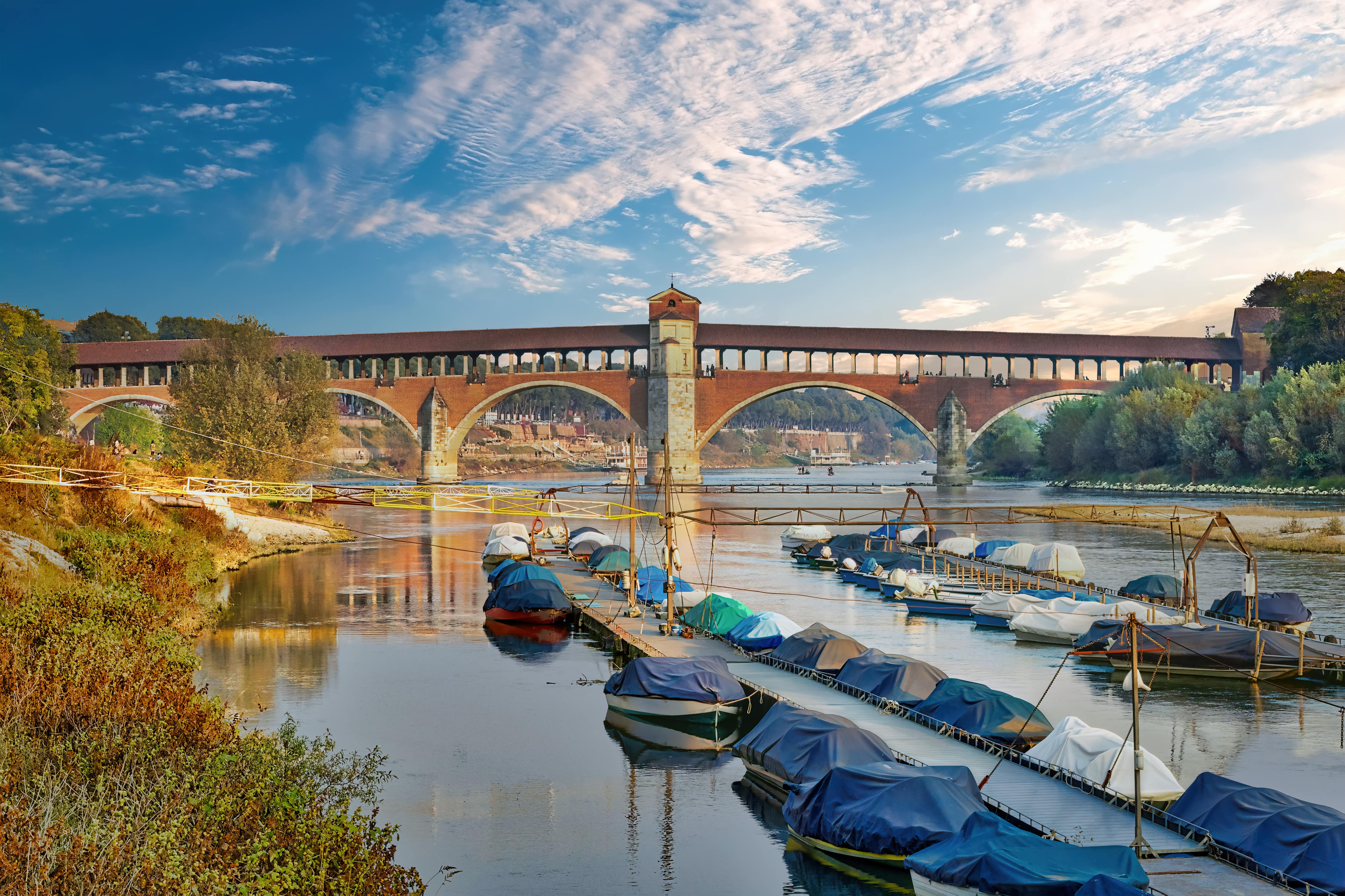 Pavia