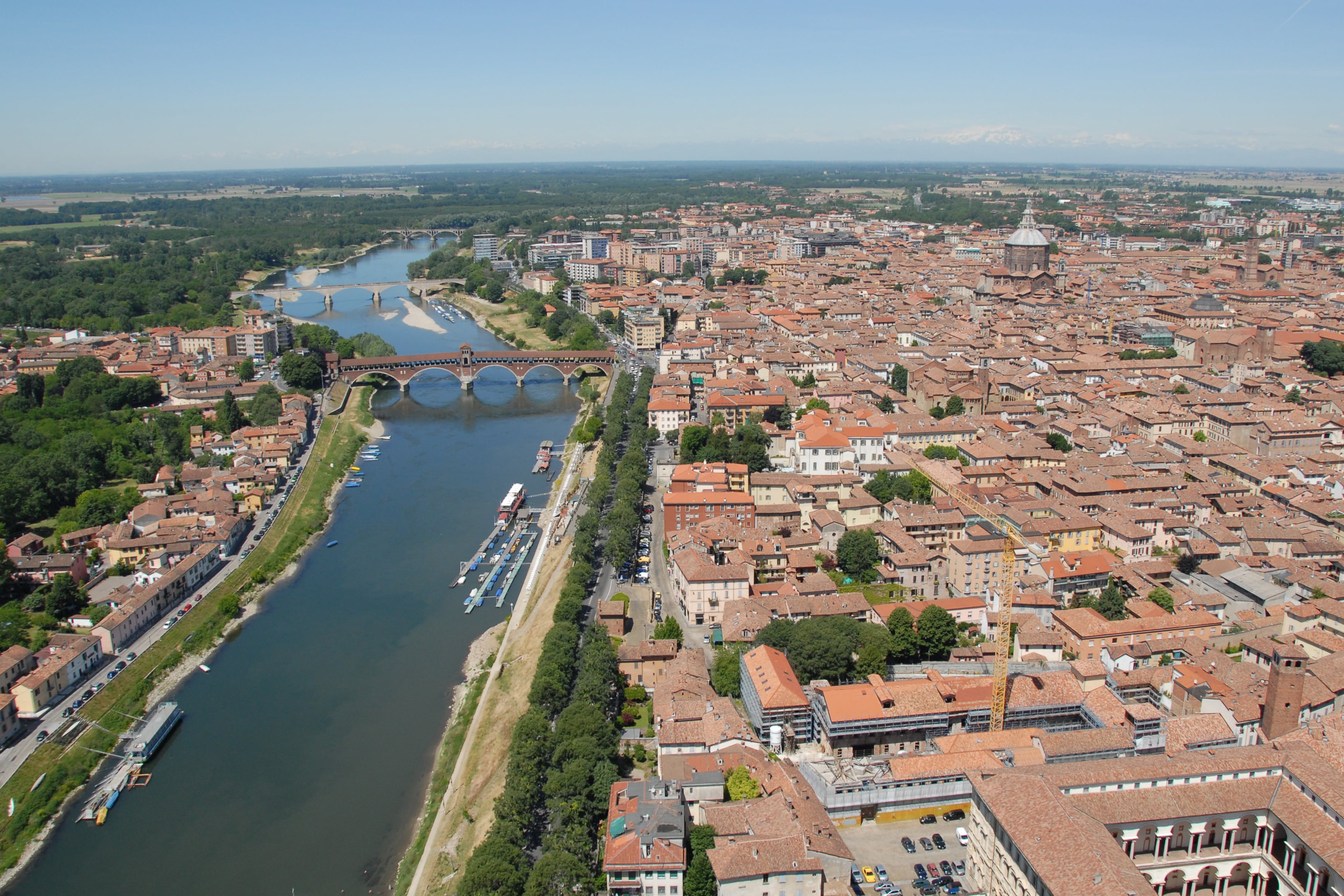 Pavia