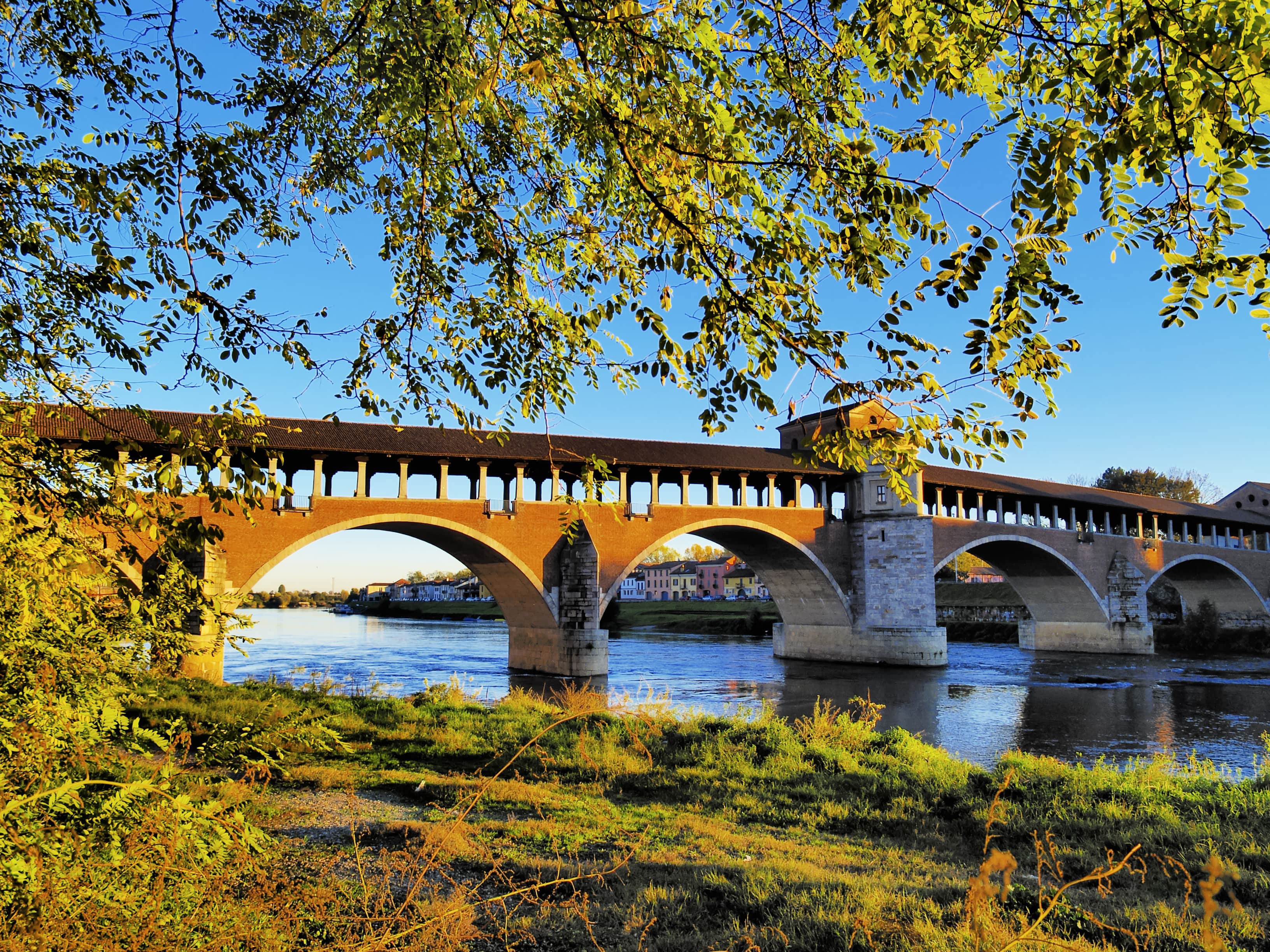 Pavia