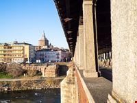 Pavia