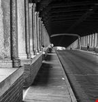 Pavia