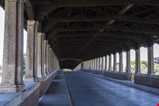 Pavia