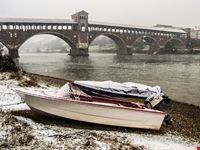 Pavia
