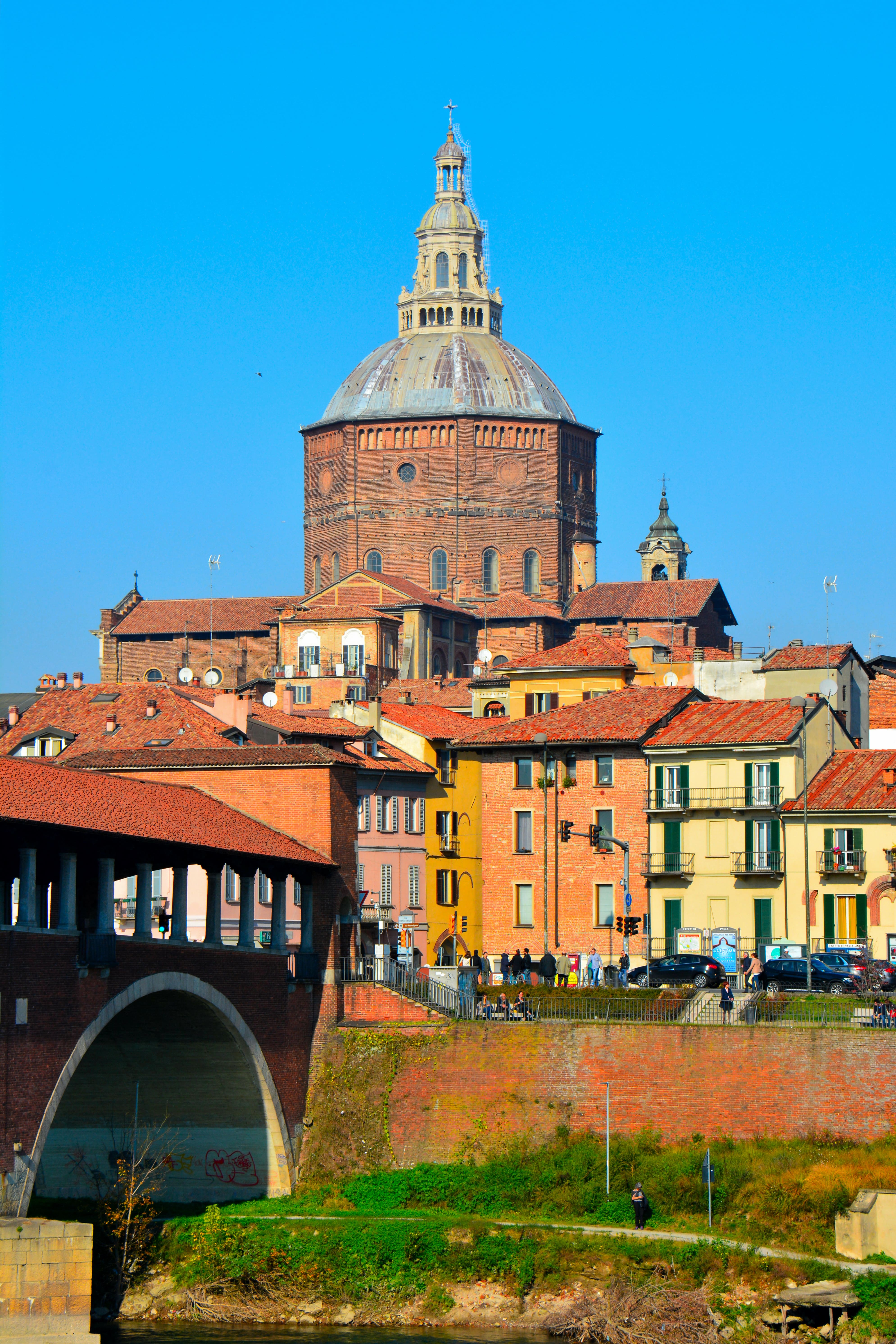 Pavia