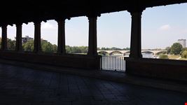 Pavia