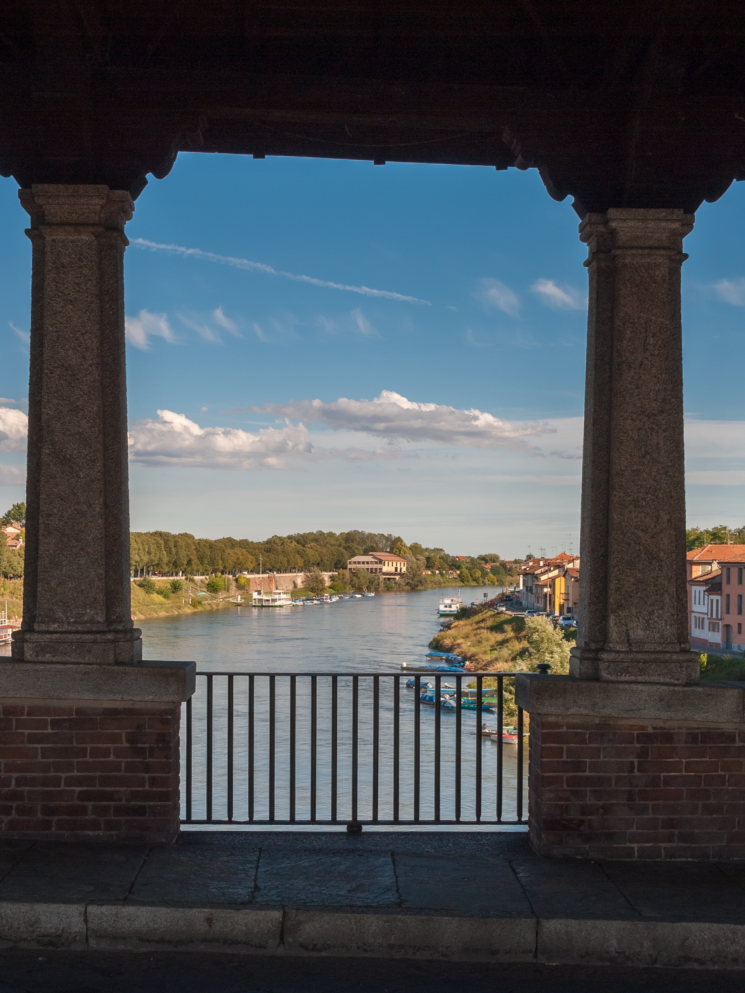 Pavia