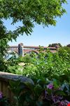 Pavia